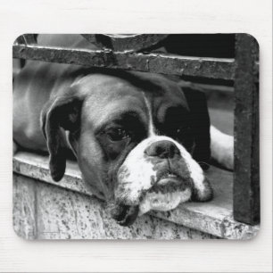 Mousepad Boxer Dog On Windowsill mp arc1