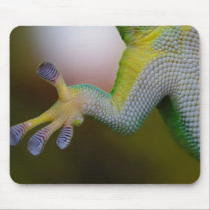 Mousepad Braço de Lizard
