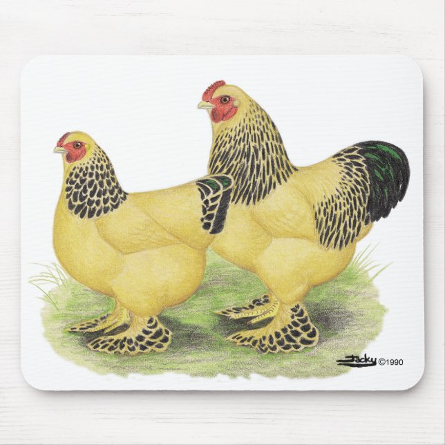 Mousepad Brahma Buff Pair (Frente)