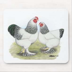 Mousepad Brahma: Luz2