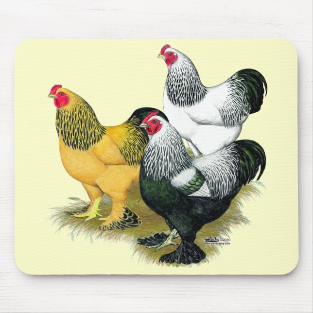 Mousepad Brahmas Three Roosters (Frente)