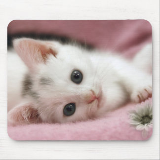 Mousepad Branca de Neve