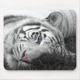 Mousepad branco do tigre