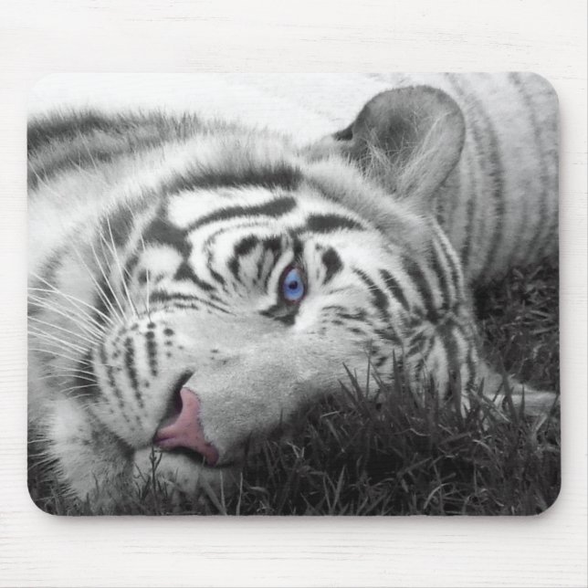 Mousepad branco do tigre (Frente)