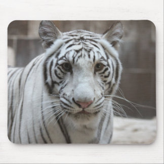 Mousepad branco do tigre