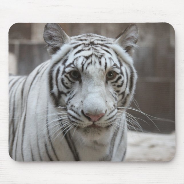 Mousepad branco do tigre (Frente)
