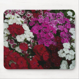 Mousepad Branco, Rosa e Vermelho Dianthus Floral
