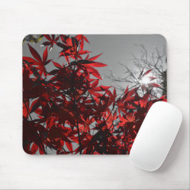 Mousepad Brasas de Outono