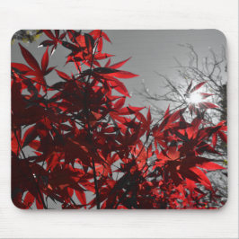 Mousepad Brasas de Outono