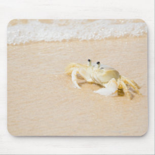 Mousepad Brasil, Rio de Janeiro, Buzios, caranguejo sobre