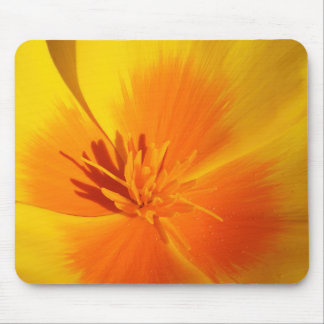 Mousepad Bright Orange California Poppy Center Com Stamens