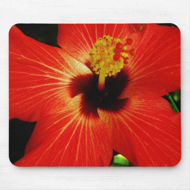 Mousepad Bright Red Orange  Hibiscus Flower (Frente)