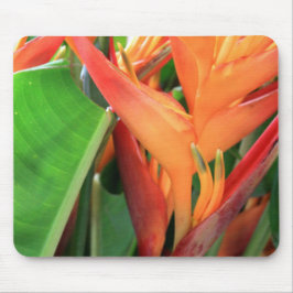 Mousepad Brilhante Heliconia Tropical Flowers