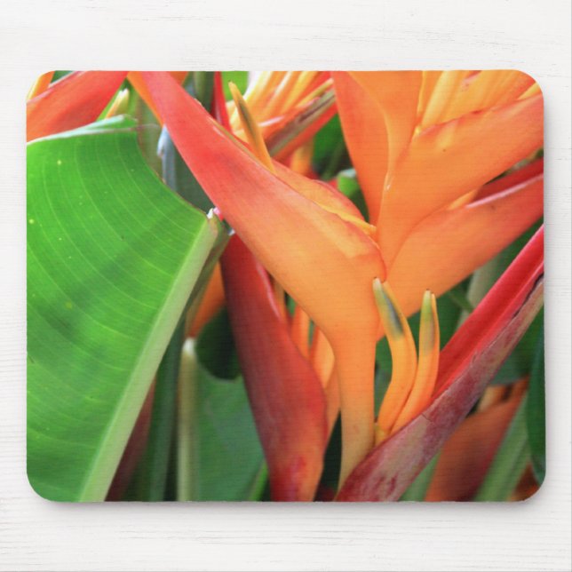 Mousepad Brilhante Heliconia Tropical Flowers (Frente)