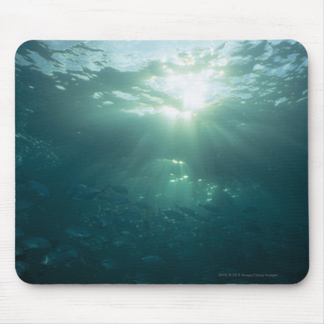 Mousepad Brilho claro no recife de corais e na escola dos (Frente)