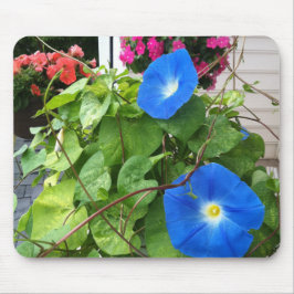 Mousepad Brilliant Blue Morning Glories Close-up