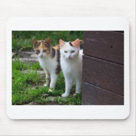 Mousepad Brincadeira