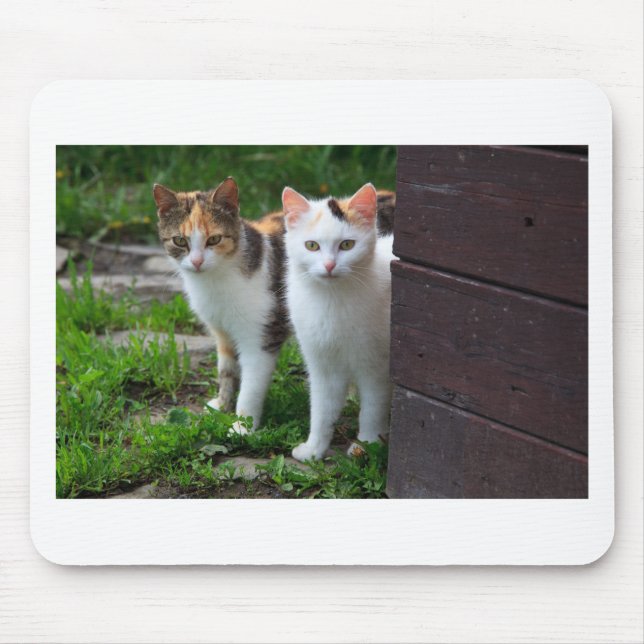 Mousepad Brincadeira (Frente)