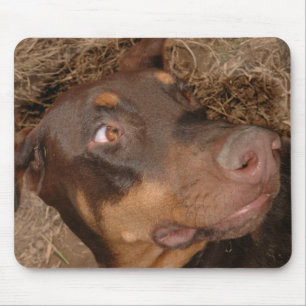 Mousepad Brisbee Lee