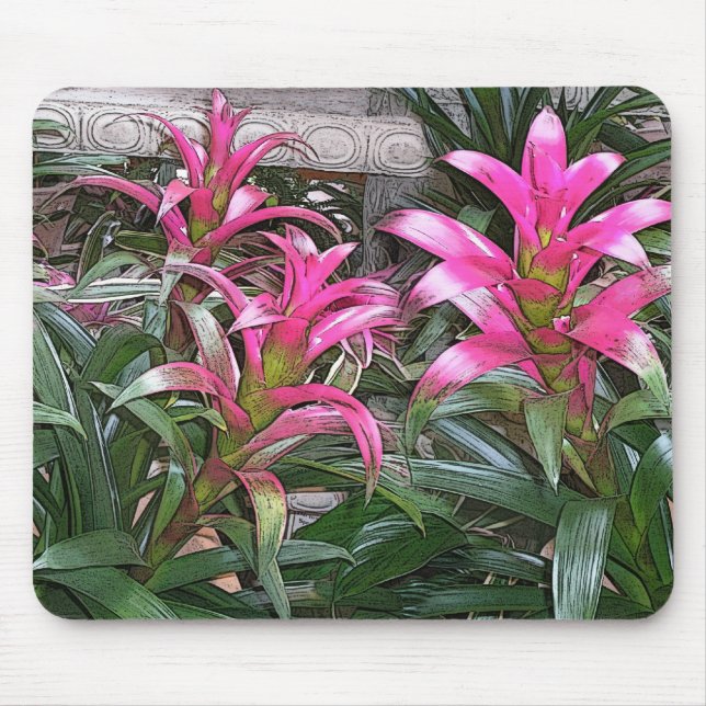 Mousepad Bromeliad Mouspad (Frente)