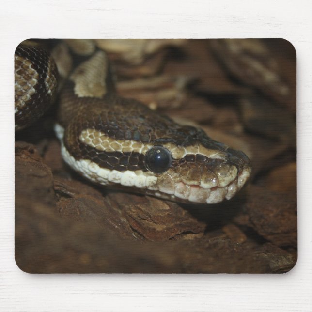 Mousepad Brown Carpet Python (Frente)
