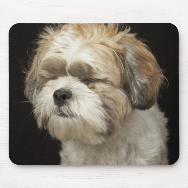 Mousepad Brown e White Shih Tzu com olhos fechados (Frente)