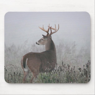 Mousepad Bruiser