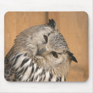 Mousepad Bubo bubo sibiricus