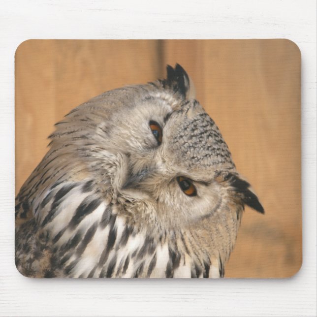 Mousepad Bubo bubo sibiricus (Frente)