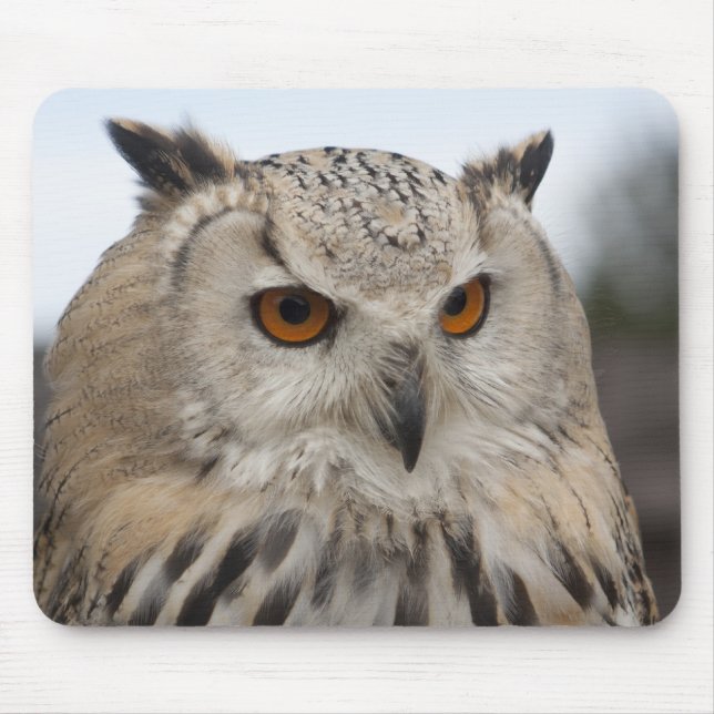 Mousepad Bubo bubo sibiricus (Frente)