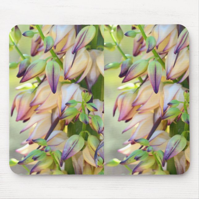 Mousepad bucha de flores da yucca (Frente)