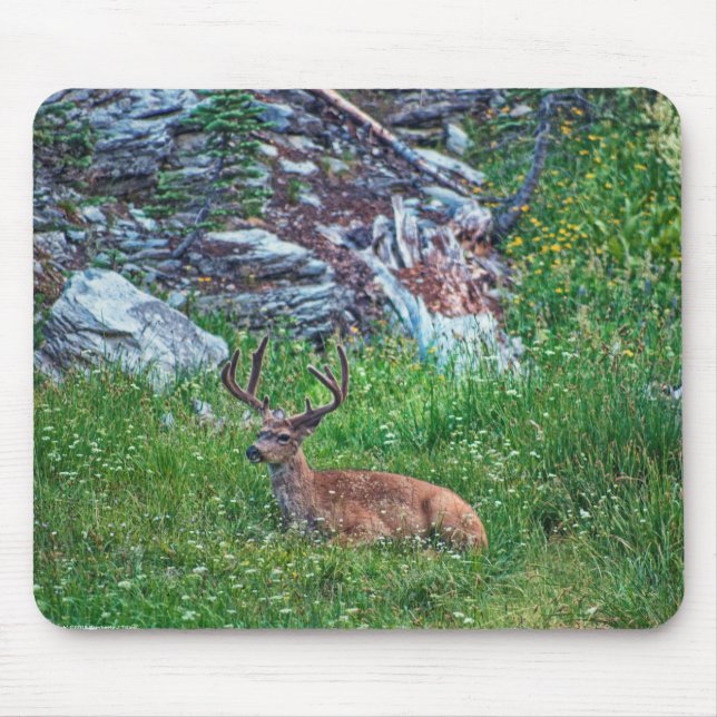 Mousepad Buck De Cama (Frente)