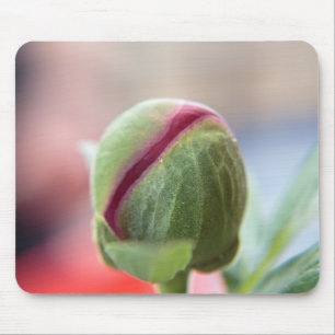 Mousepad Bud de um Peony/Pfingstrosen
