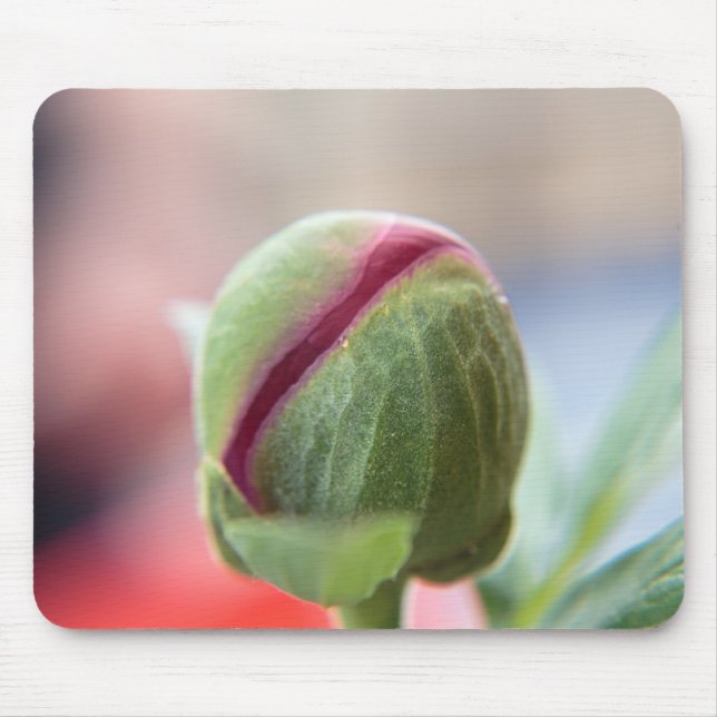 Mousepad Bud de um Peony/Pfingstrosen (Frente)