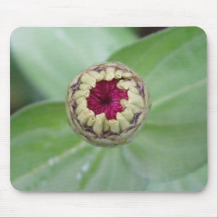 Mousepad Budding Zinnia