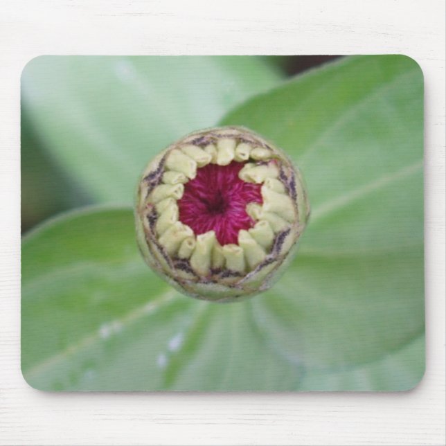 Mousepad Budding Zinnia (Frente)