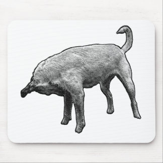 Mousepad Budy com um Nose-Tuck