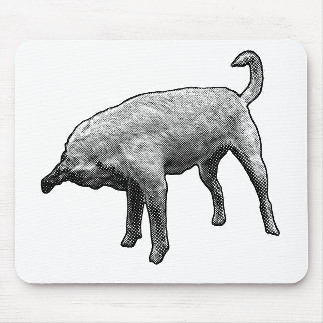 Mousepad Budy com um Nose-Tuck (Frente)