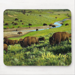 Mousepad Búfalo de Mouse Pad-Yellowstone