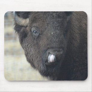Mousepad Búfalo engraçado