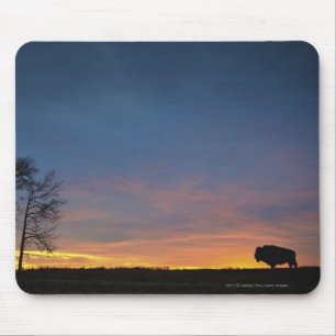 Mousepad Búfalo no por do sol no parque nacional da ilha