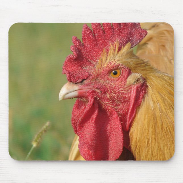 Mousepad Buff Rooster (Frente)