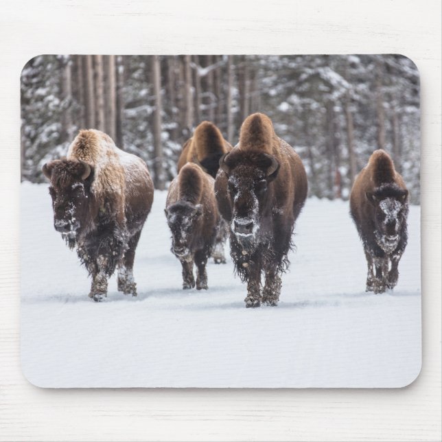 Mousepad Buffalo (Frente)