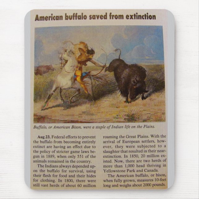 Mousepad Buffalo Americano de 1902 Salvo da Extinção (Frente)
