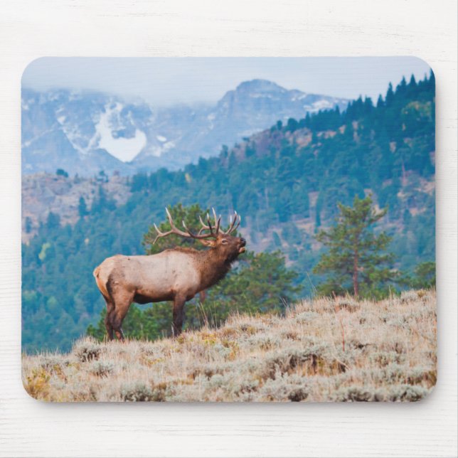 Mousepad Bugido de Touro de Alce (Cervus Elephus) (Frente)