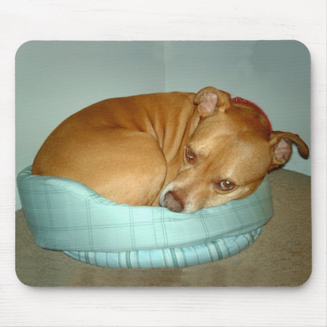 Mousepad Bugsy (Frente)