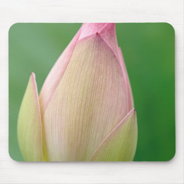 Mousepad Bulbo de Nenúfar Fechado, Jardim Botânico de Durba (Frente)