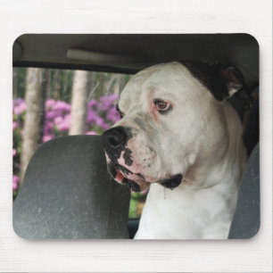 Mousepad buldogue americano drooling