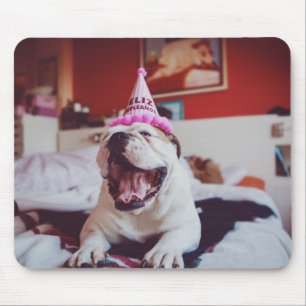 Mousepad Buldogue britânico das imagens   de Getty