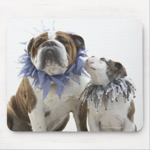 Mousepad Buldogue britânico e filhote de cachorro que